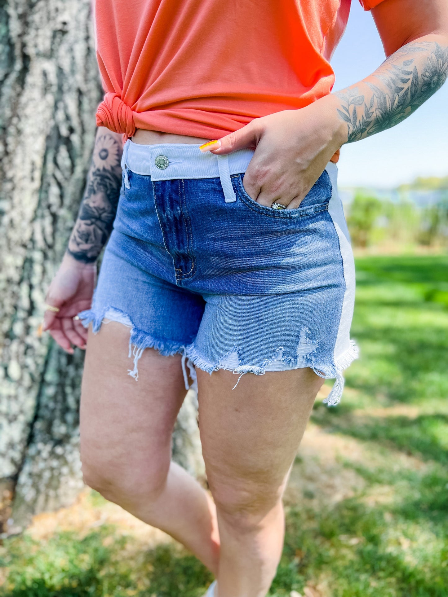 Vervet "Assured" Two Tone High Rise Jean Shorts